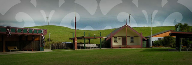 Ngati Hikairo image