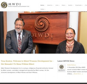 Maori Women's Development Inc